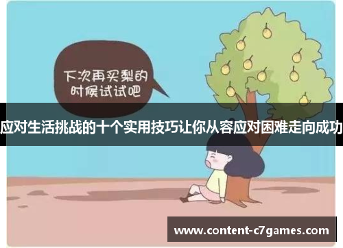 应对生活挑战的十个实用技巧让你从容应对困难走向成功