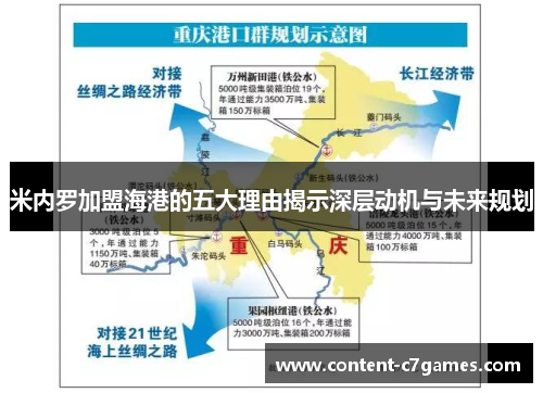 米内罗加盟海港的五大理由揭示深层动机与未来规划
